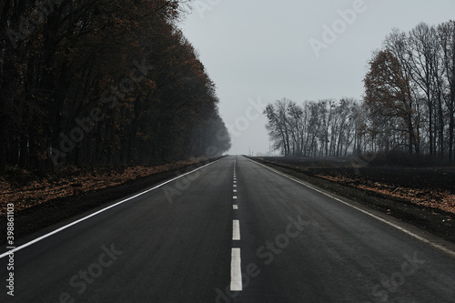 Black, wet road with white markings during foggy