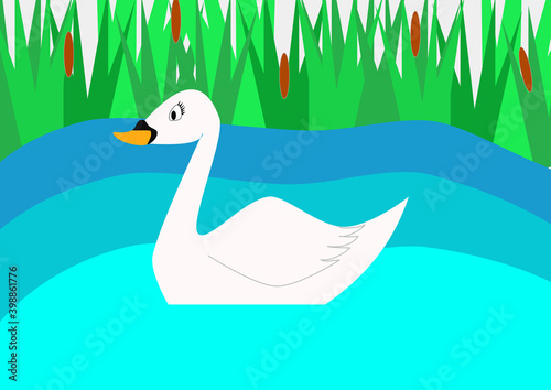 A beautiful white swan on a blue pond with reeds in the background. Waterfowl. The pond. Weed. Vector. Children's illustration, drawing.