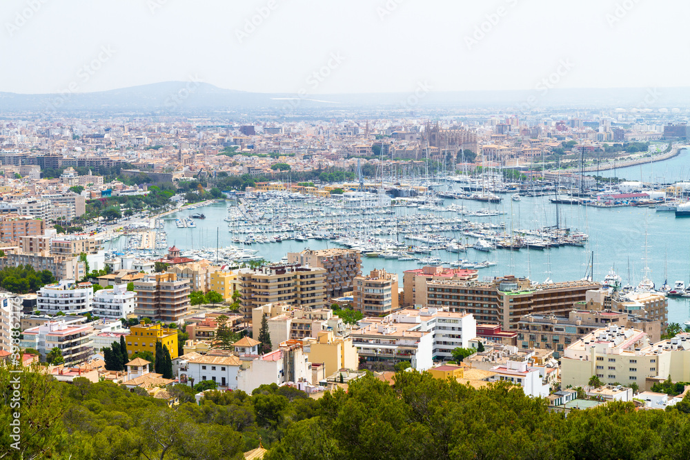 Panoramic skyline view of Palma Mallorca marina with yachts. Viewed in the background is La Seu Cathedral.