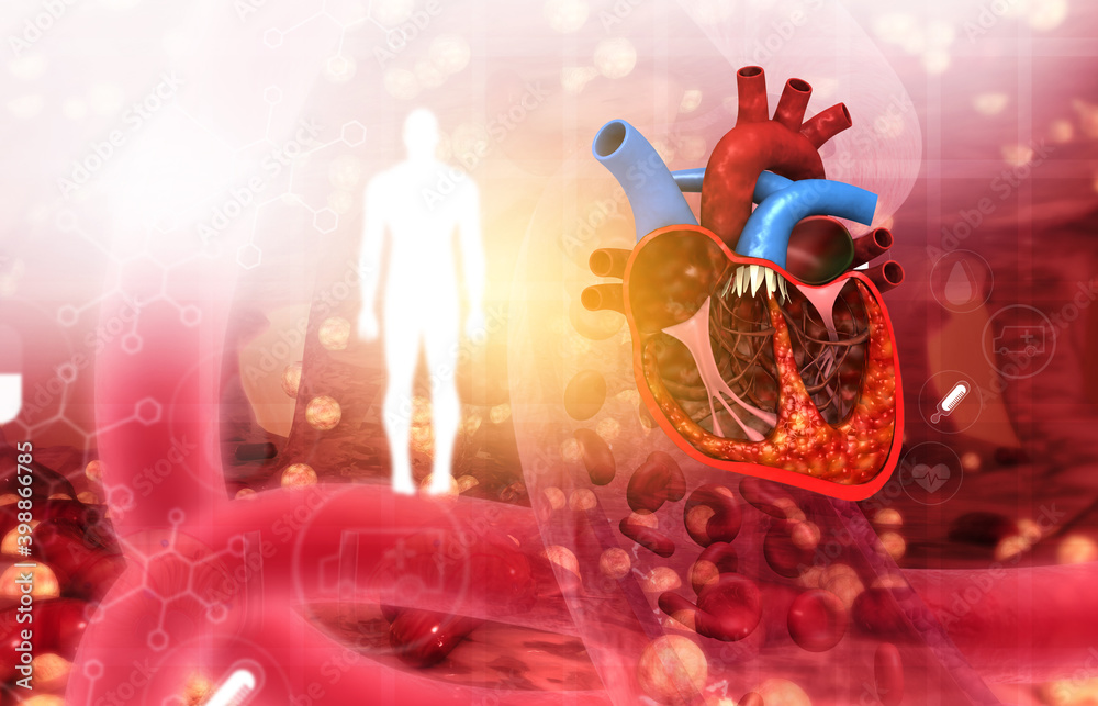 Cross section of human heart on abstract medical background. 3d ...