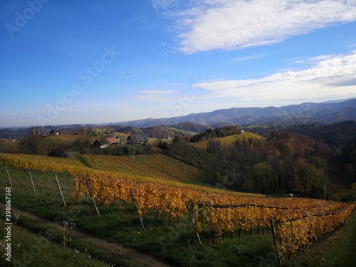 S  dsteirische Weinstra  e im Herbst