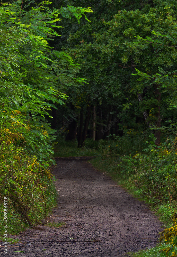 Very green Park Zielona in Dabrowa Gornicza during a day.