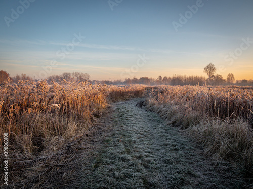 Meadow path after a first freezing.