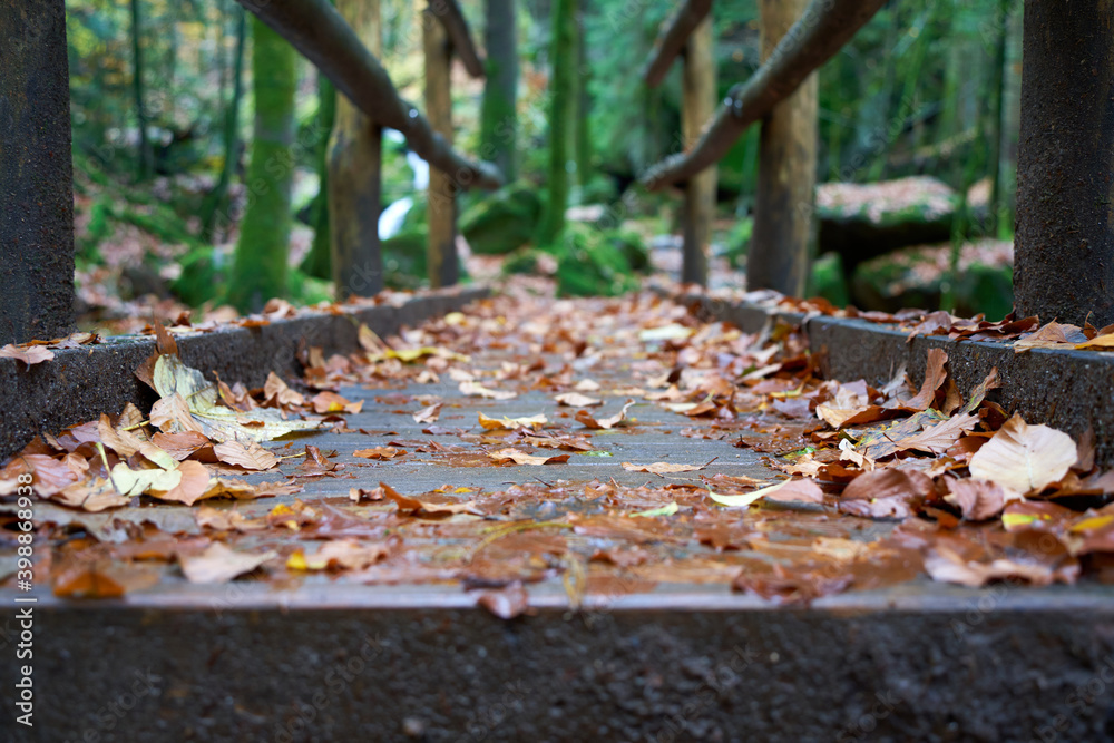 Close-up of a wooden bridge in the forest, wet autumn leaves on a smooth surface pose a risk of slipping. slippery. Germany, Blackforest, Gertelbach ..