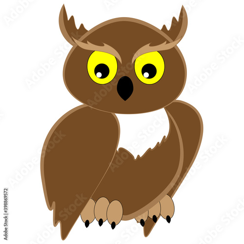 Bird of prey owl looks sideways.
