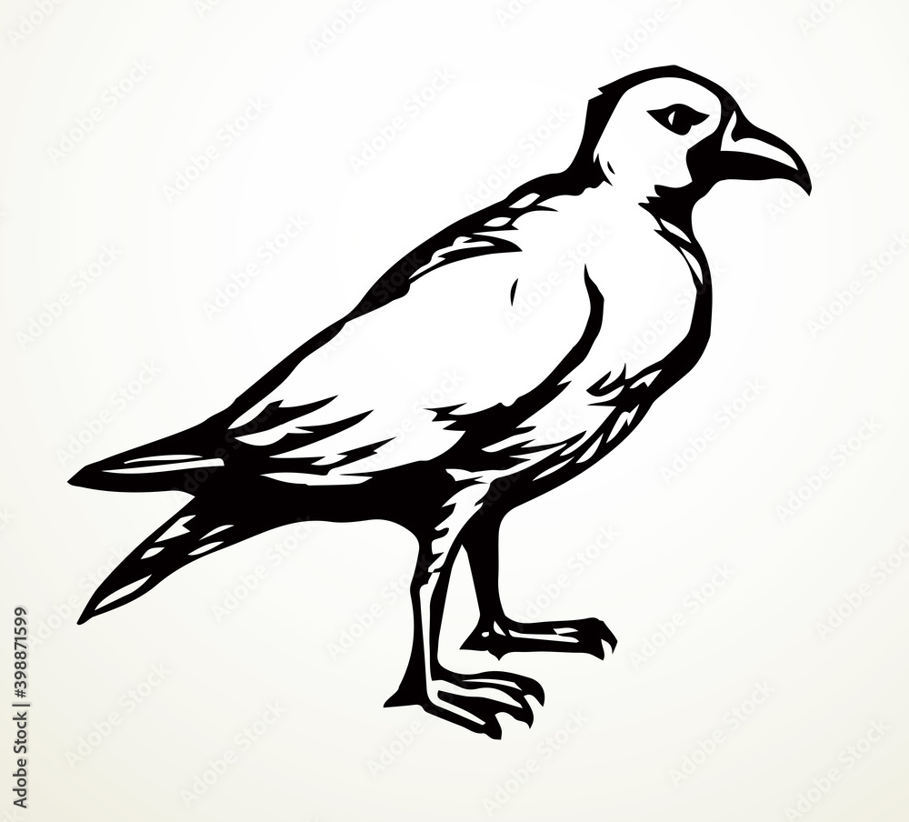 Fototapeta premium Big bird. Vector drawing icon sign