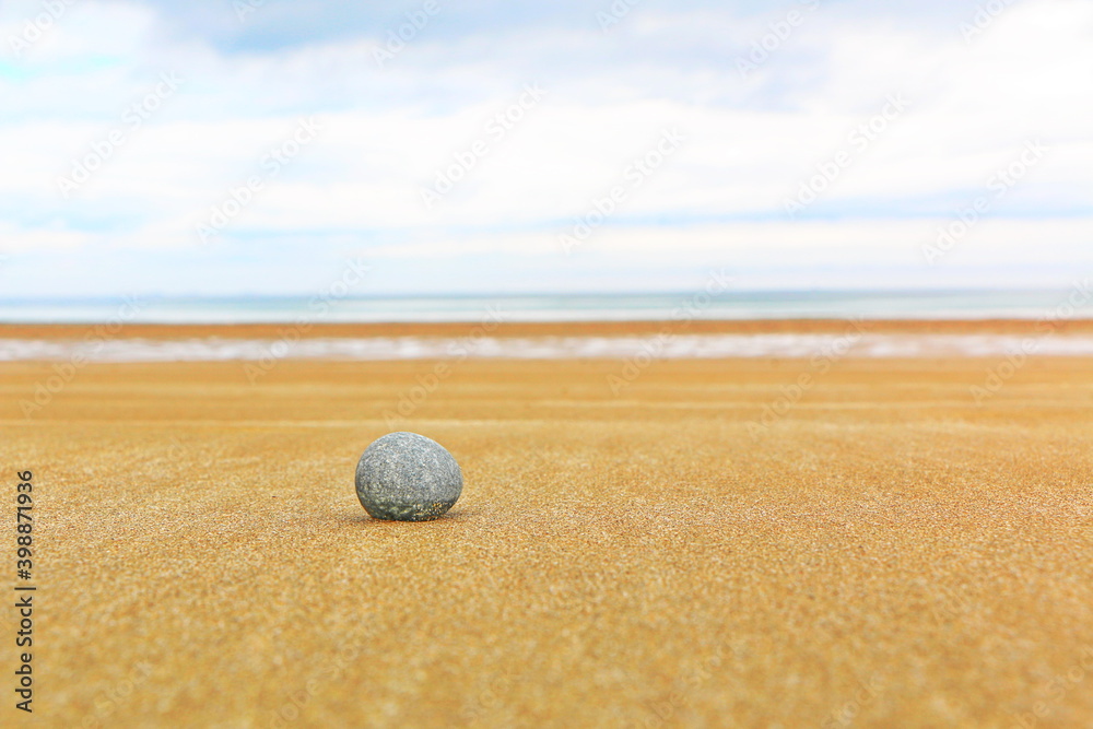 Sandy beach with stones algea and wood Sandy beach with stones algea and wood