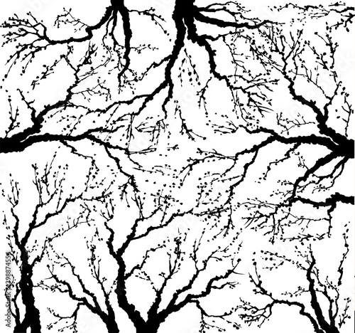 Vector image of mighty tree with bare branches