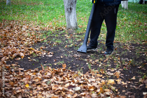 Cleaning leaves in the garden. A gardener uses an air turbine to blow dry leaves into one heap.