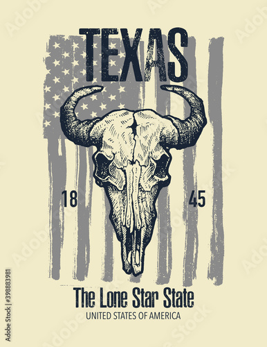 Texas buffalo tee print graphic. Vector illustration.