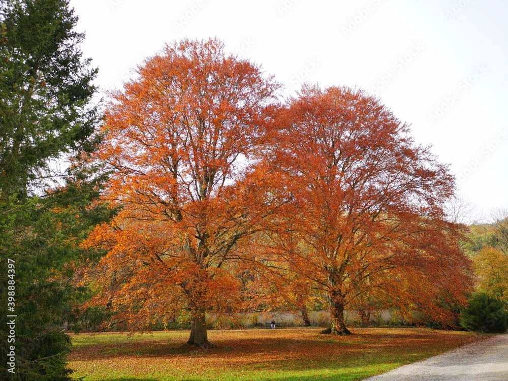 Schöckl Steirmark im Herbst - der Hausberg von Graz Schöckl Steirmark im Herbst - der Hausberg von Graz
