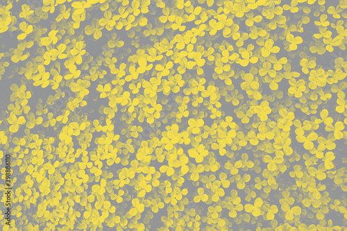 Fresh plant leaves close-up in trendy 2021 new colors. Illuminating Yellow and Ultimate Gray. Color of the Year 2021. Copy-space. Can use as banner