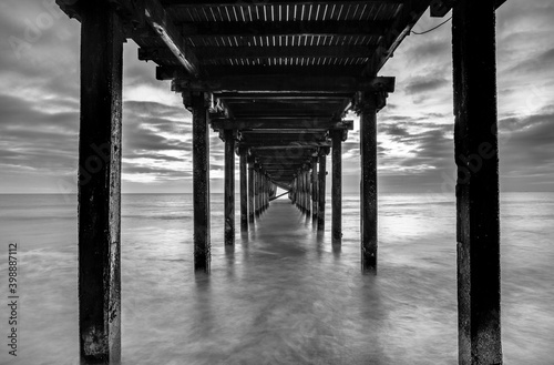 Under the Pier photo