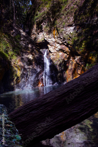Fototapeta Naklejka Na Ścianę i Meble -  Gorge Falls, located in Tallebudgera Valley in the Gold Coast hinterland