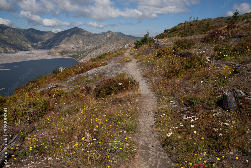 footpath in the mountains