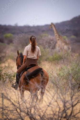 Brunette on horseback watches giraffe in bushes © Nick Dale
