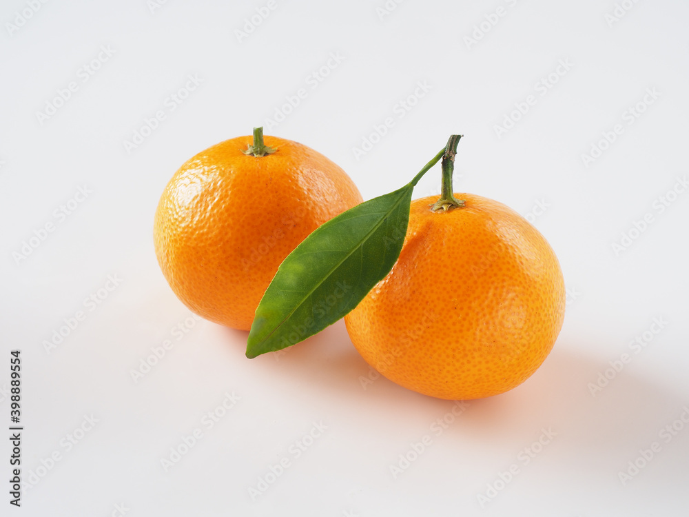 日本のみかんを白背景で