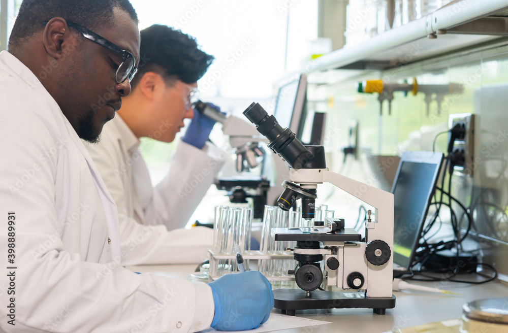 Scientist working in lab. Doctors making medical research. Biotechnology, chemistry, science, experiments and healthcare concept. Day light and window background. Scientist working in lab. Doctors making medical research. Biotechnology, chemistry, science, experiments and healthcare concept. Day light and window background.