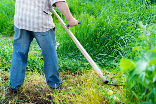 Man mows the grass with a hand scythe