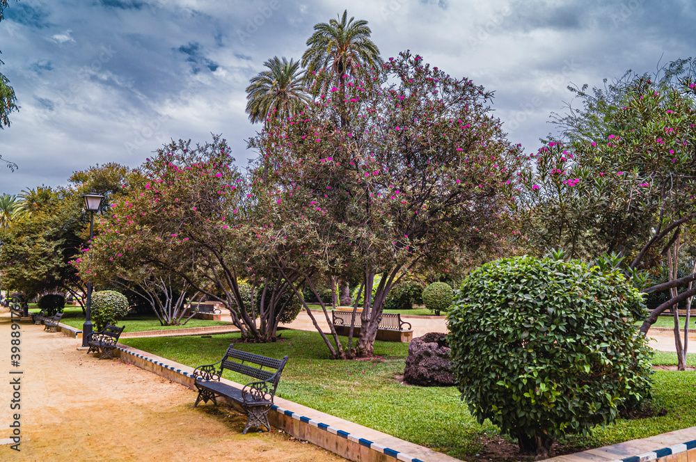 Jardines de Murillo in Seville summer Park scene