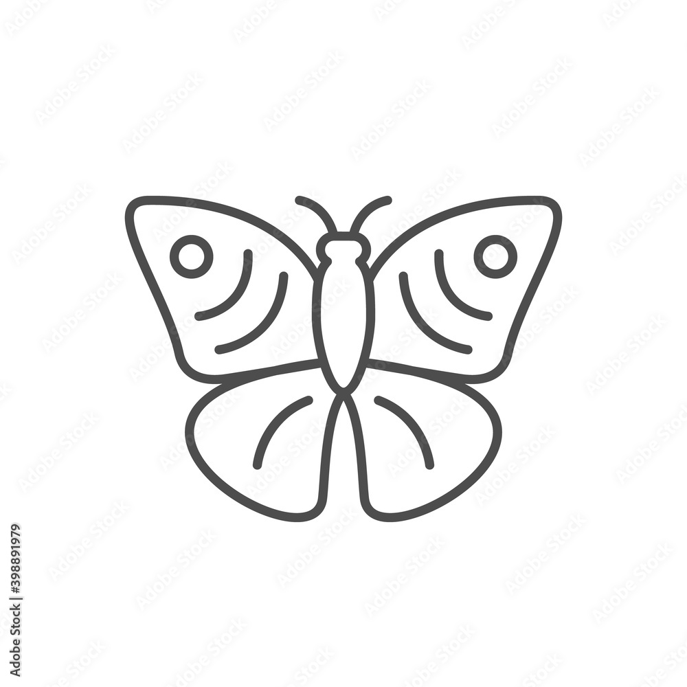 Butterfly line outline icon or insect concept Butterfly line outline icon or insect concept