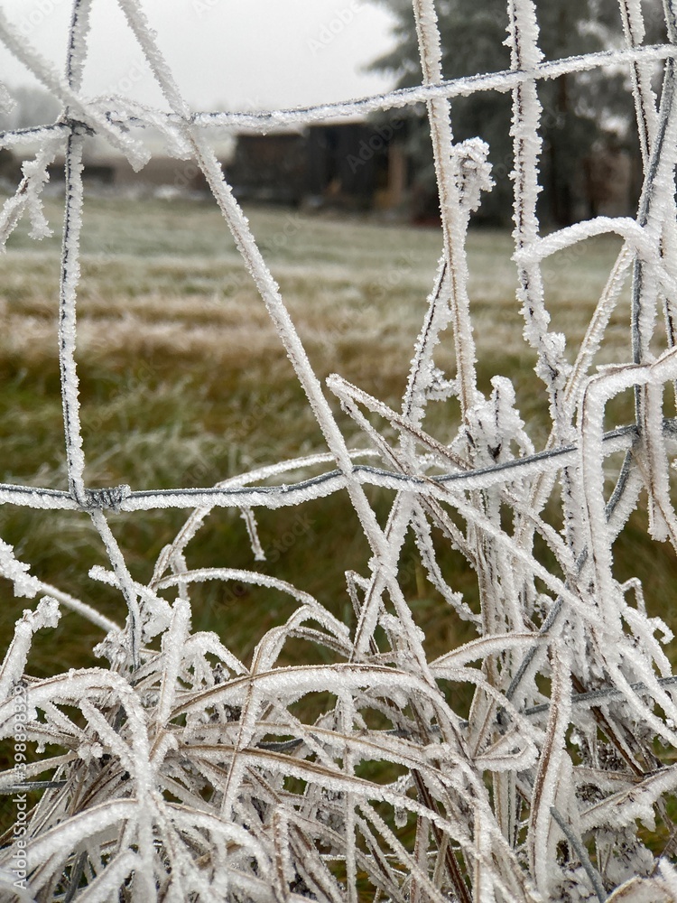 frost on the fence frost on the fence
