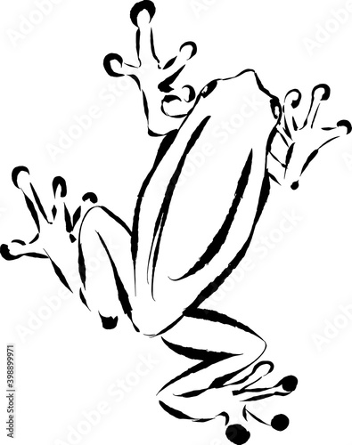 墨で描いたカエルの線画イラスト
