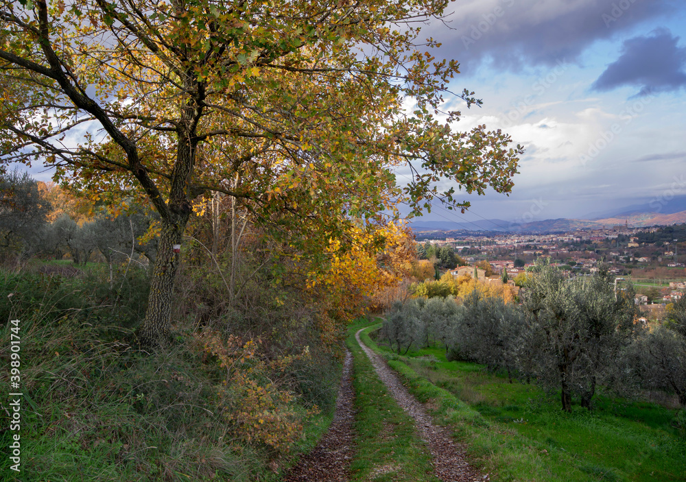 dirt road of countryside that leads to the city, in Tuscany land dirt road of countryside that leads to the city, in Tuscany land