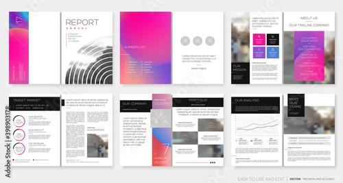 Template for the Annual Report, Design with elements of a round shape and bright colors. Portfolio Flyer Booklet Brochures Layout Flyer Magazine. Vector illustration EPS10
