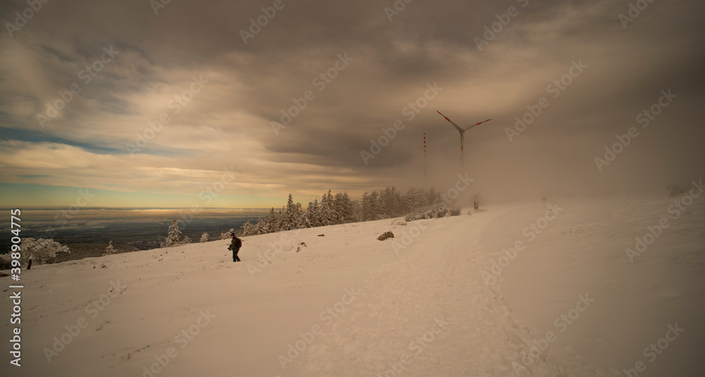 Winter in the Black Forest