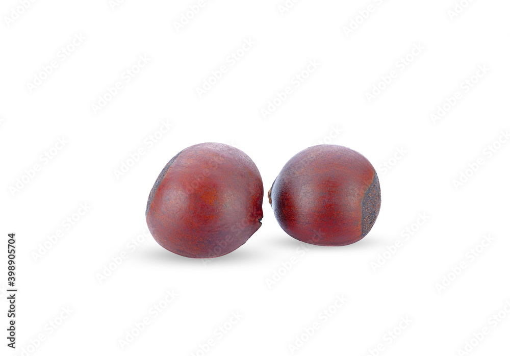 Chinese chestnut isolated on a white background
