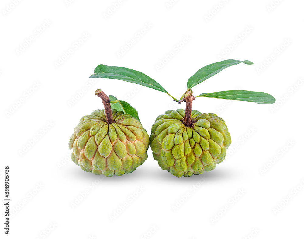 Fototapeta premium custard apple on a white background,isolated