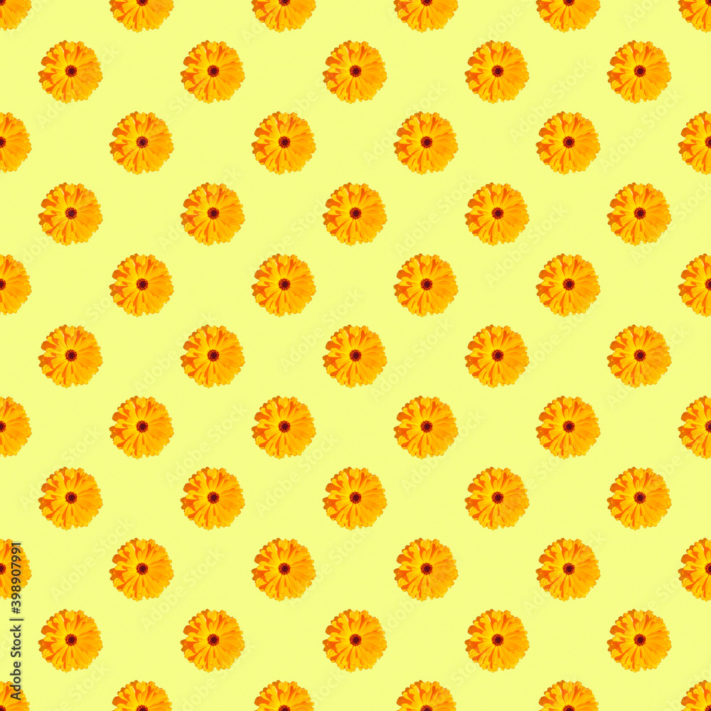 Beautiful seamless pattern of orange marigolds on pastel yellow background. Flowers or medicinal herbs abstract seamless pattern. Beautiful seamless pattern of orange marigolds on pastel yellow background. Flowers or medicinal herbs abstract seamless pattern.