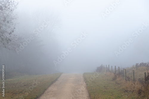 Straight road through mist to forest with ghostly trees in distance feeling lost