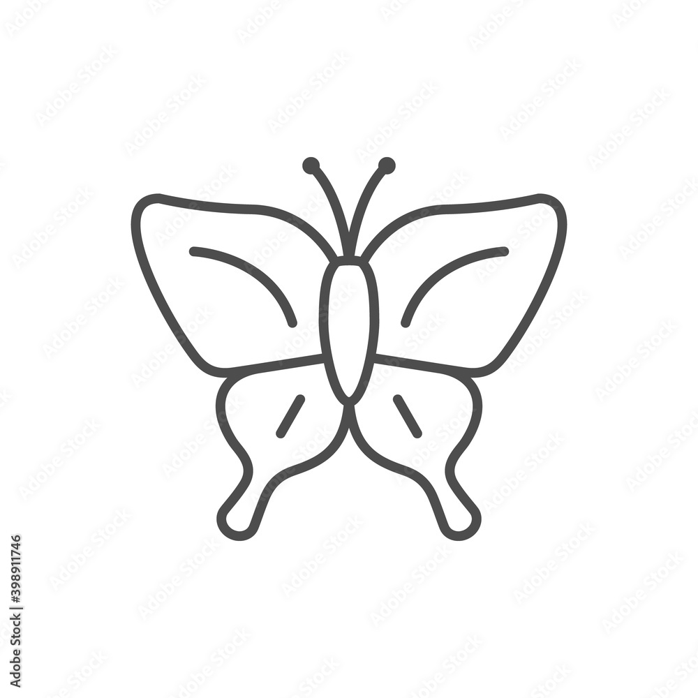 Butterfly line outline icon or insect concept Butterfly line outline icon or insect concept