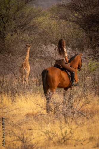 Brunette on horseback watches baby southern giraffe © Nick Dale