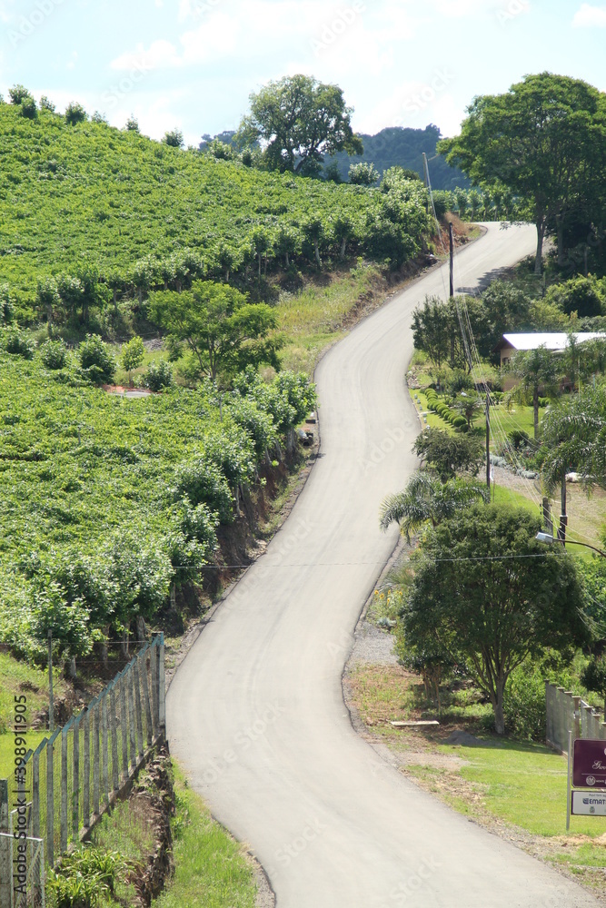 country road in Vale dos Vinhedos, Rio Grande do Sul country road in Vale dos Vinhedos, Rio Grande do Sul
