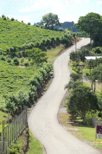country road in Vale dos Vinhedos, Rio Grande do Sul