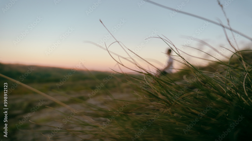 Obraz premium sunset in the field