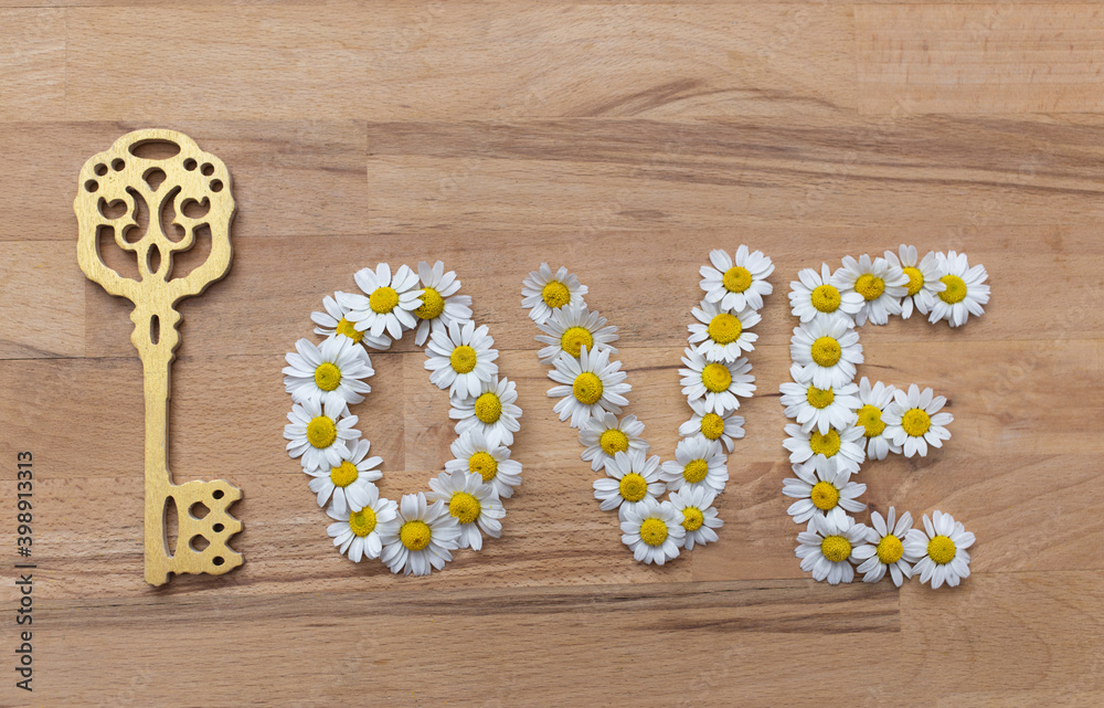 On wooden background from chamomile flowers word love is laid out. Instead of the letter L - golden key. Positive atmosphere, declaration of love, feelings, emotions. Holiday, greeting card