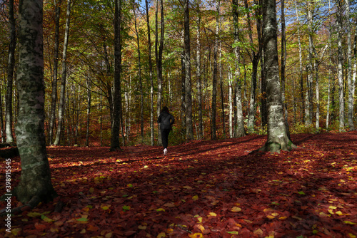 Young woman is running in the forest in autumn. Sports and recreation lifestyle.