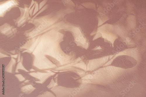 Shadow and light of leaves tree branch background. Natural leaves tree branch colorful pink rose shadow and light from sunlight dappled on white wall texture for wallpaper overlay and design