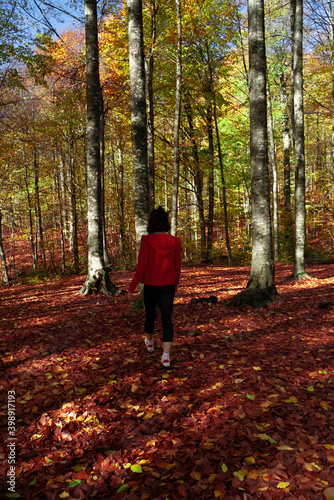 Young woman is running in the forest in autumn. Sports and recreation lifestyle.