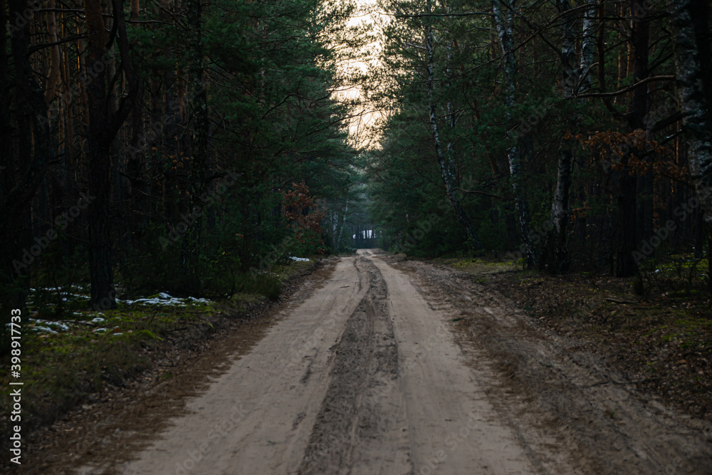 A dirt road leading through a dense mixed forest in late autumn A dirt road leading through a dense mixed forest in late autumn