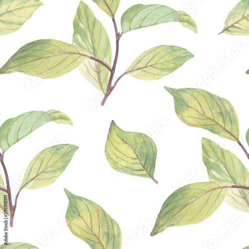 Botanical seamless pattern. background from watercolor leaves. Green leaves on a white background. ornament for design, print, wallpaper and textile.
