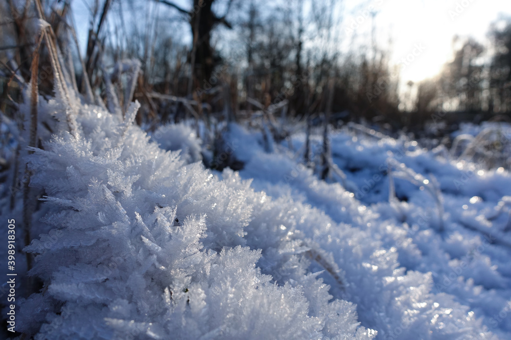 Beautiful winter background. Snow crystals. Freezing day Beautiful winter background. Snow crystals. Freezing day