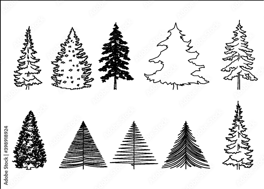 Set of fur trees (silhouettes). Set of fur trees (silhouettes).