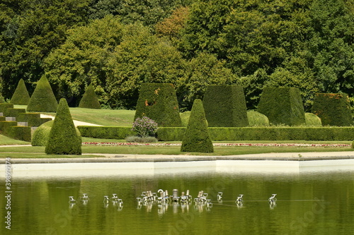 Foto Le Jardin Français aves ses haies en cône et semi-cubiques au parc de Tervuren à