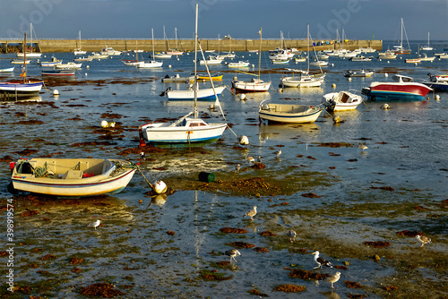 Marina de Penmarch, a commune in the Finistère department of Brittany in north-western France photo