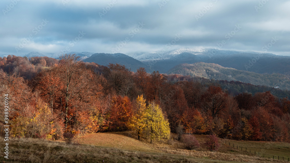 Amazing fall  landscape with colored trees and frost in the morning 